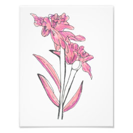 Druck der rosa Orchidee