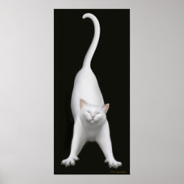 Druck der weißen Katze Poster