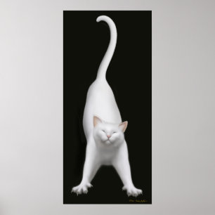 Druck der weißen Katze Poster