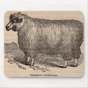 Druck des 19. Jahrhundertseinjährige Cotswold Mousepad