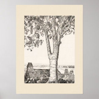 Druck des Cornwall-Landschafts, Eleanor Hughes Nac Poster