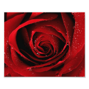 Druck des Fotos 8x10