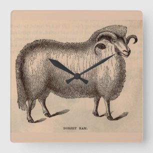 Druck Dorset ram aus dem 19. Jahrhundert Quadratische Wanduhr