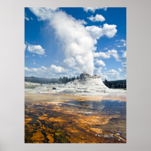Druck - Schloss-Geysir, Yellowstone Nationalpark, Poster