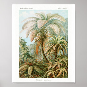 Druck, Value Poster Papier (matt)