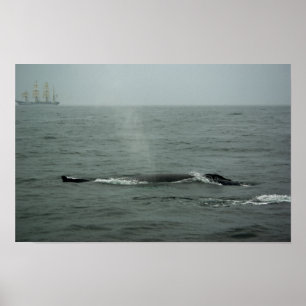 Druck von Just Passing By Poster