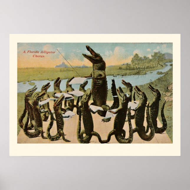 Druck von singenden Alligatoren Poster (Vorne)