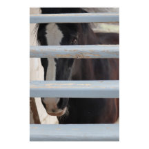 Druck, Wertposter-Papier (Halbglanz)