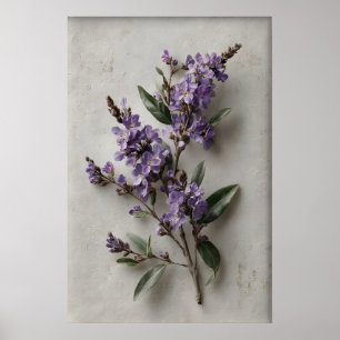 Druckbare Dampiera-Wandkunst, Antike Blumenfeder Poster