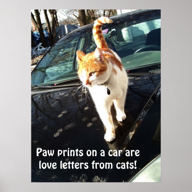 Drucke auf einem Auto sind Lieben von Katzen (Vorne)