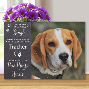 Drucke auf unserem Beagle zur Erinnerung an den Hu Fotoplatte