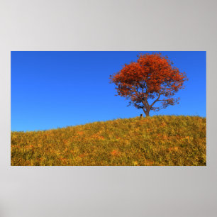 Drucken am Herbsttag Poster