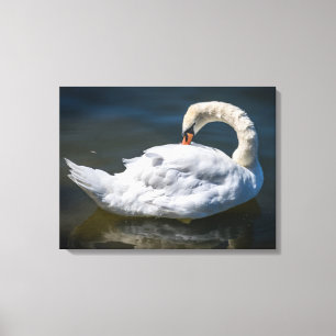 Drucken der Leinwand für den weißen Schwan
