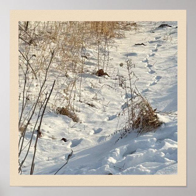 Drucken im Schneeplakat Poster (Vorne)