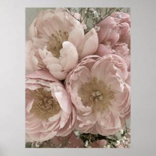 DRUCKEN   Peonies II - 24in x 32in Poster