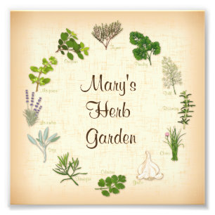 Drucken Sie Ihr Herb Garden-Foto individuell. Fotodruck