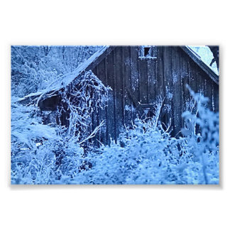 DRUCKEN SIE IHRE EIGENEN FOTOS FOTODRUCK