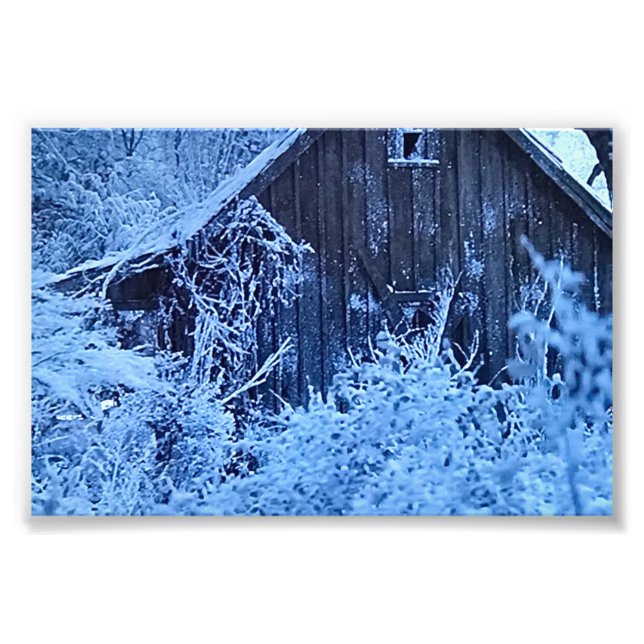 DRUCKEN SIE IHRE EIGENEN FOTOS FOTODRUCK (Vorne)