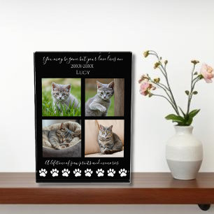 Drucken und Erinnerungen nach Maß für eine Katze Fotoblock