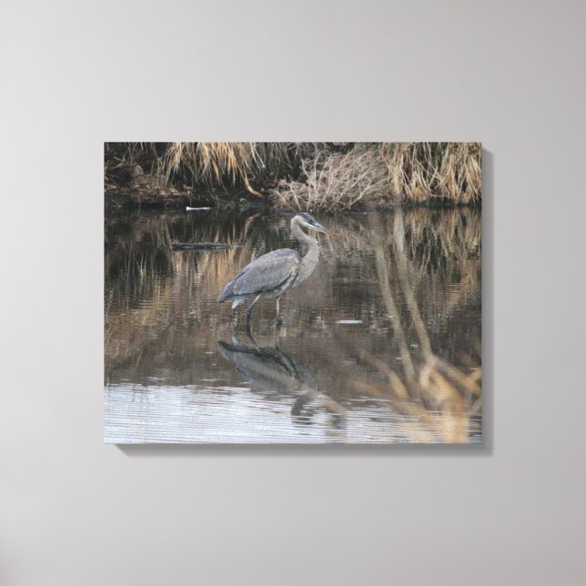 Drucken von Great Blue Heron Canvas Leinwanddruck (Vorderseite)
