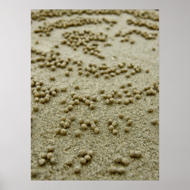 Drucken von Strandvisionen Poster (Vorne)