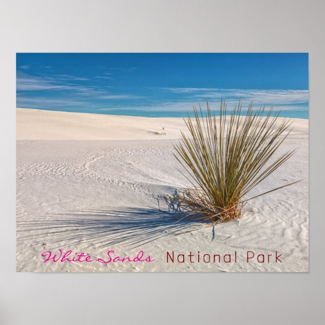 Drucken, Werteplakatpapier (Matte) Poster (Vorne)