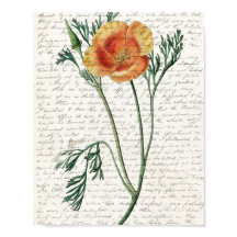 Drucken, Werteplakatpapier (Matte)