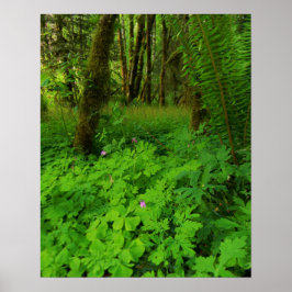 Drucken, Werteplakatpapier (Matte) Poster