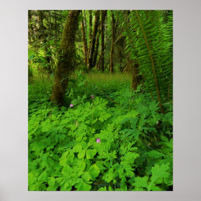 Drucken, Werteplakatpapier (Matte) Poster (Vorne)