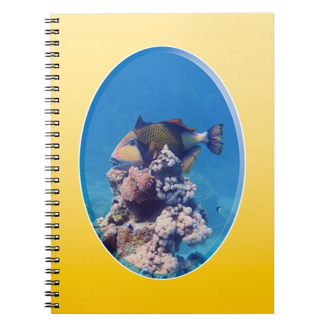 Drückerfisch auf Korallenspitze - Fotodesign |  Notizblock (Vorderseite)