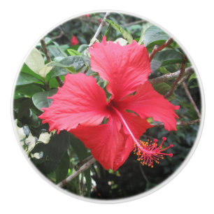Druckknopf mit rotem Hibiskus Keramikknauf