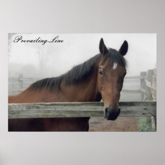 Druckvorschau Poster