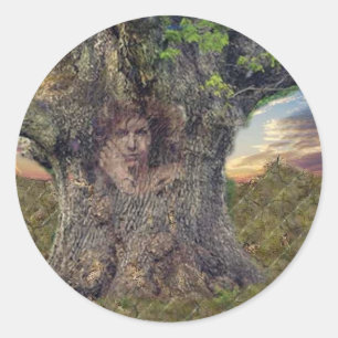 Druid in Bäumen Runder Aufkleber