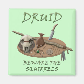 Druid: Vorsicht vor den Eichhörnchen Magnet