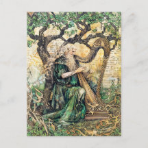 Druide keltische Weiße Priester der Natur