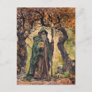 Druide keltische Weiße Priester der Natur Postkarte