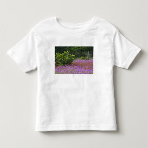 Drummond-Phlox, Phlox drummondi, Hilton Head Kleinkind T-shirt
