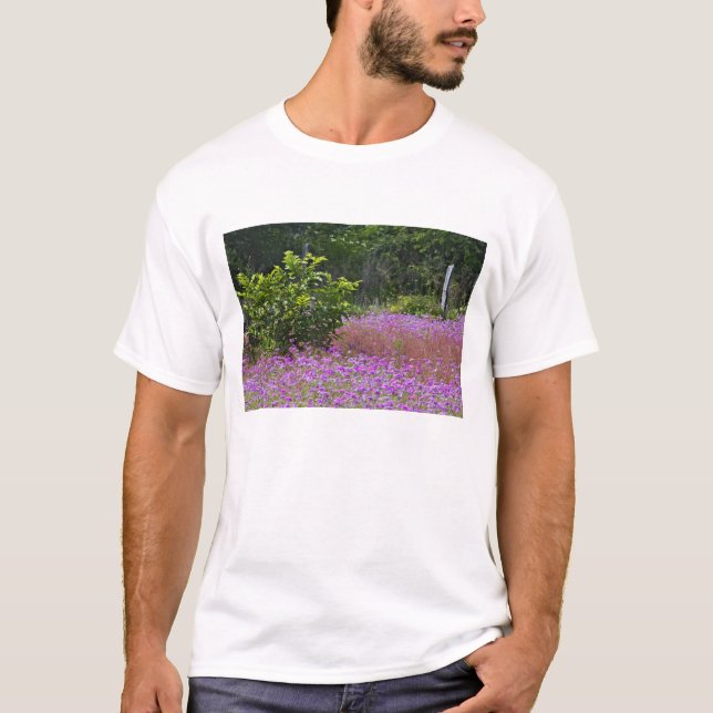 Drummond Phlox, Phlox drummondi, Hilton Head T-Shirt (Vorderseite)