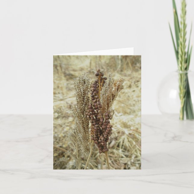 Dry Fern Note Card Feiertagskarte (Vorderseite)