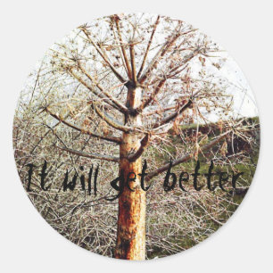 Dry Ferula Pflanze Runder Aufkleber