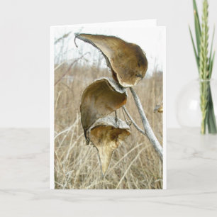 Dry Milkweed Pods Note Card Feiertagskarte
