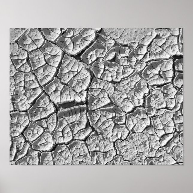 Dry Mud Flat Poster (Vorne)