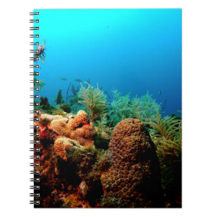 Dry Tortugas National Park, Coral Reef, Florida Notizblock