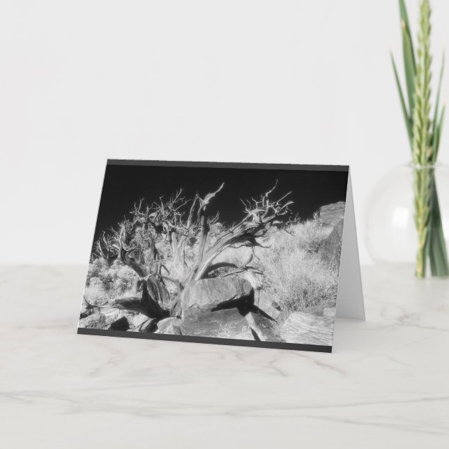 Dry wood landscape karte (Vorderseite)