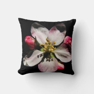 DS Sonnenblume oder Apple Blossom tp arc3 Kissen