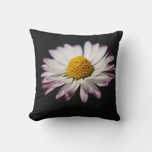 DS Sonnenblume oder Daisy tpcnm Kissen (Vorderseite)