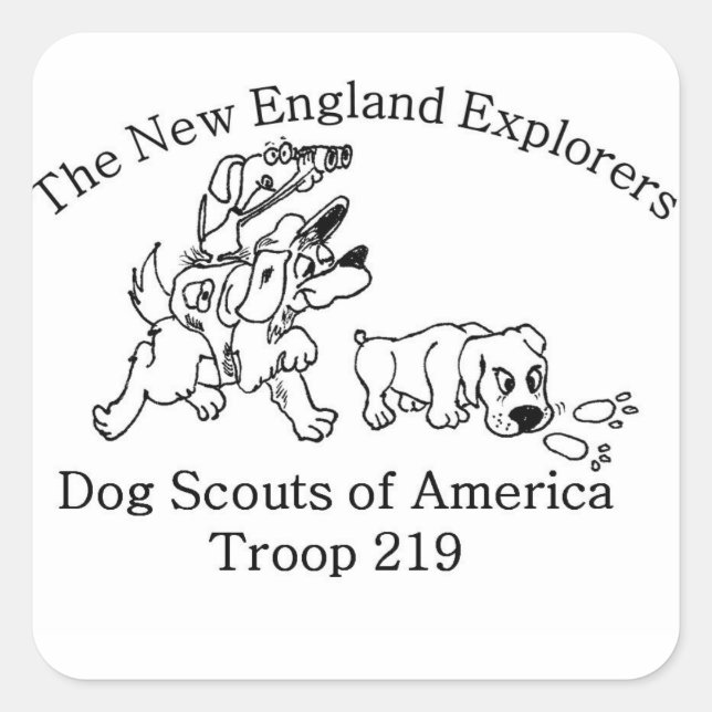 DSA-Truppenaufkleber 219 Quadratischer Aufkleber (Vorderseite)