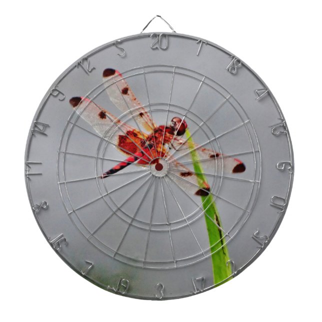 DSC00029.JPG DARTSCHEIBE (vorne)