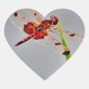 DSC00029.JPG Herz-Aufkleber