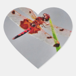 DSC00029.JPG Herz-Aufkleber